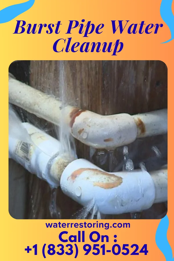 Burst Pipe Water Cleanup in Rangely, CO