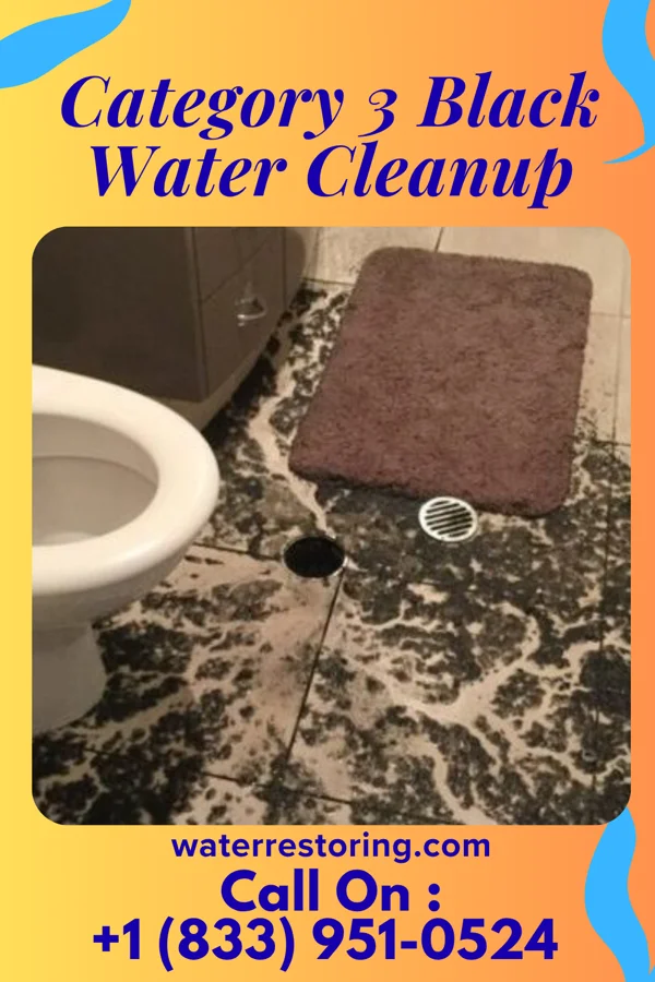 Category 3 Black Water Cleanup in Rangely, CO