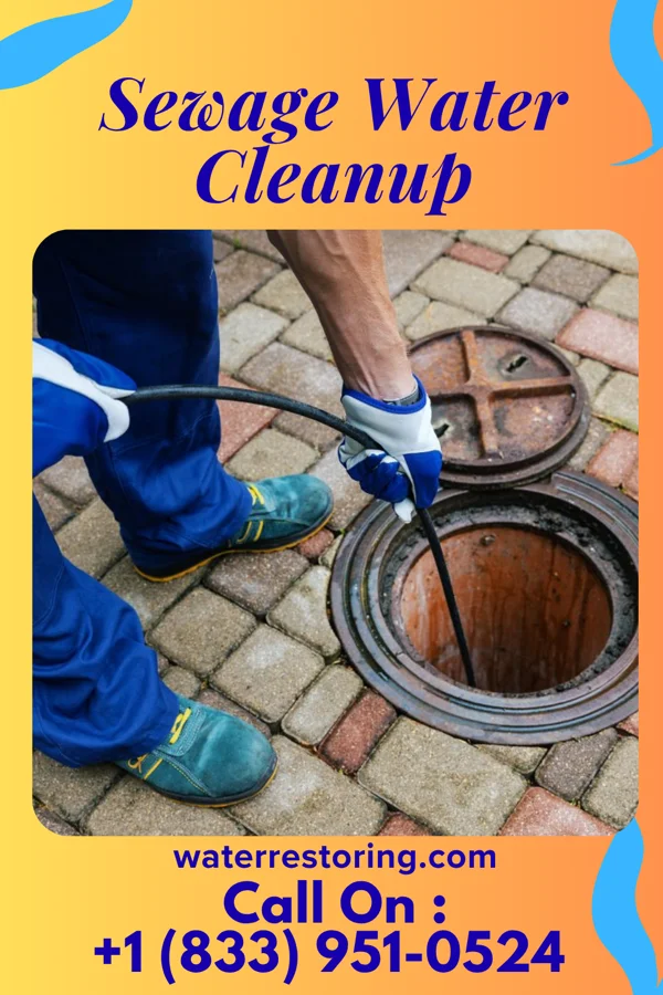 Sewage Water Cleanup in Rangely, CO