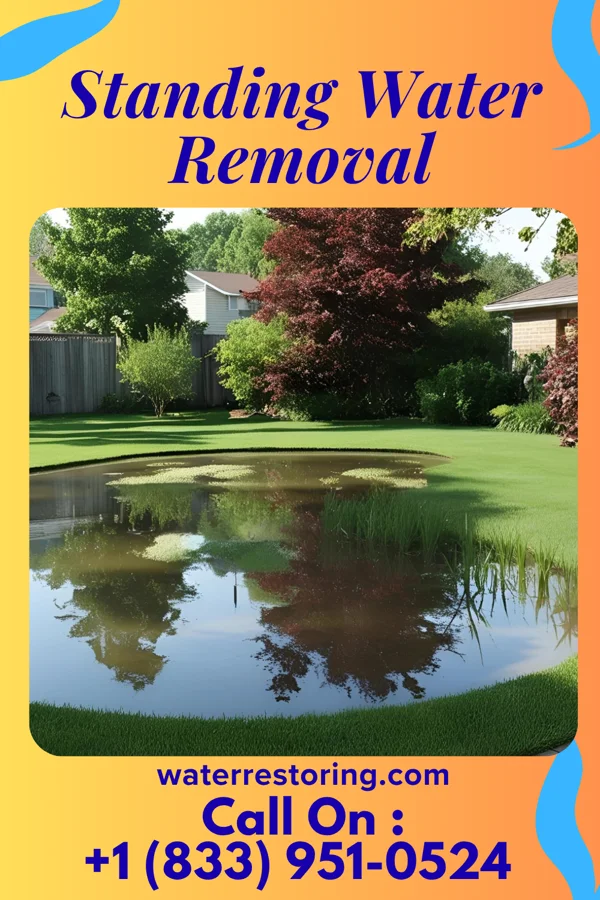 Standing Water Removal in Rangely, CO
